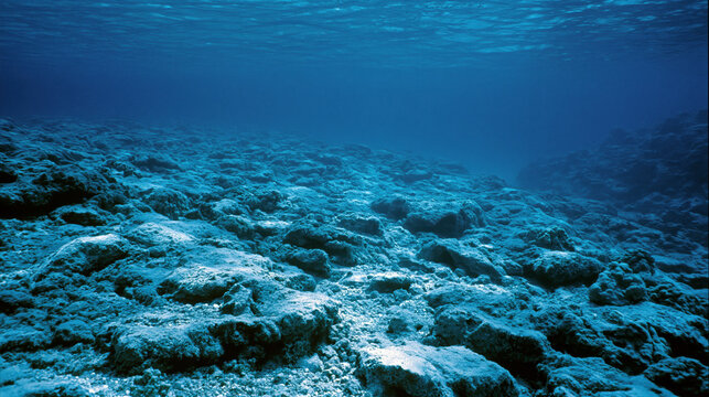 Underwater reef slope, sea floor, coral rock, blue water, ocean landscape, marine habitat