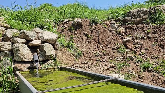Spring water pours from a small pipe into a metal trough, framed by a stone wall and green hillside beneath a clear sky.
📍 Daga Shekhan, Marivan, Kurdistan 