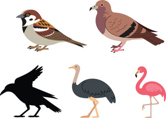 Fototapeta premium Various wild and domestic birds collection set, isolated vector illustration graphic design elements