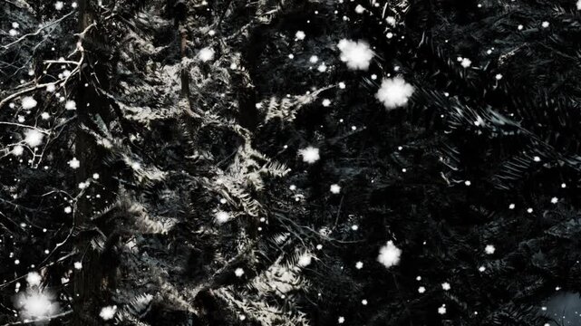 Snowflakes drift down onto a dark forest floor where ferns and leaves are scattered. The winter scene captures a quiet moment in nature during a snowfall.