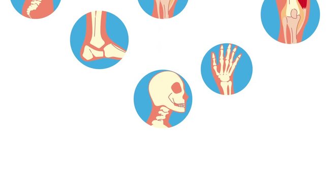Dynamic motion graphics with human anatomy icons showing various body parts and skeletal structures in a seamless loop.
