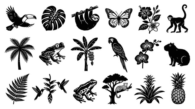 Exotic Tropical Nature Wildlife Black and White Silhouette Vector Icons Set: Jungle Animals, Birds, Plants, Fruits, Flowers