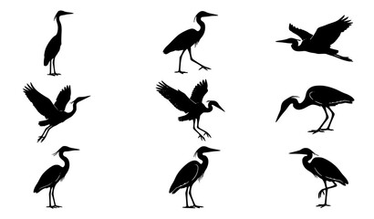 Naklejka premium Heron Bird Vector Silhouette Set Egret Landing Preening Standing Poses Black Illustration Collection
