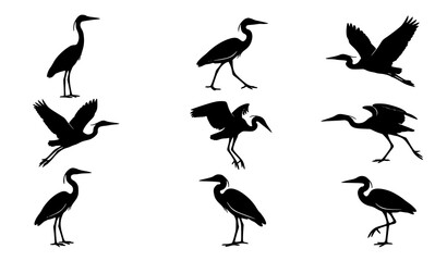 Naklejka premium Heron Bird Vector Silhouette Set Egret Standing Flying Walking Poses Black Illustration Collection