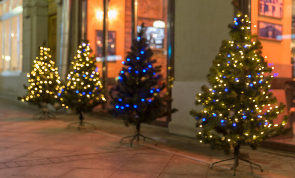 Christmas trees blurry background