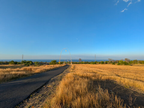 A rural roadside path with tall grass withered by the dry season.
