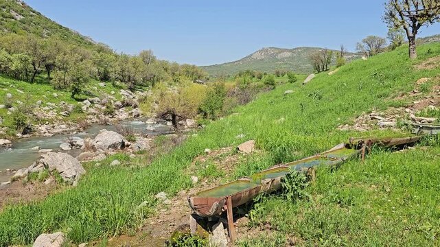Charming rustic trough overlooks a rocky stream winding through a vibrant green valley, graceful trees crowning the hillside beneath a radiant spring sky.
📍 Daga Shekhan, Marivan, Kurdistan 