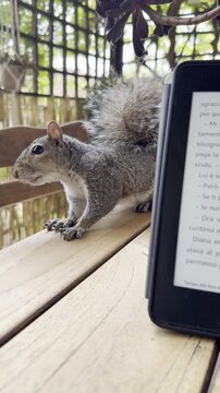 Tab reading book