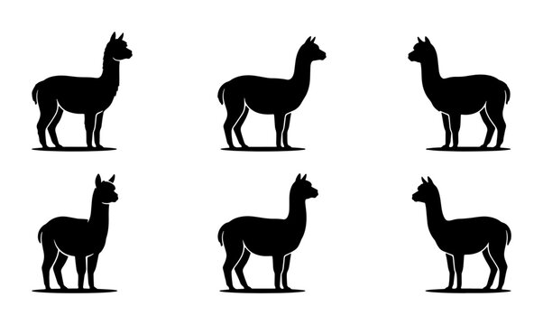 Six Black Alpaca Silhouettes, Vector Icons, Farm Animals, South American Wildlife, Minimalist Design