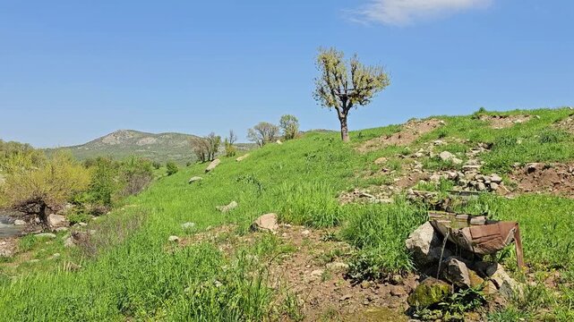 Charming rustic trough rests among stones on a lush green hillside, graceful trees dotting the slope beneath a bright spring sky with drifting clouds.
📍Daga Shekhan, Marivan, Kurdistan 
