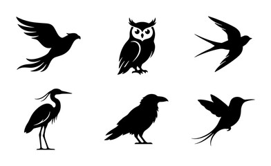 Fototapeta premium Diverse Bird Silhouettes Collection: Owl, Heron, Raven, Hummingbird, Swallow, Eagle Icons