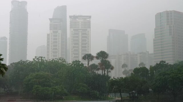 City Skyline Panorama with Palm Trees in Tropical Monsoon