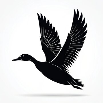 vector illustration of an eagle