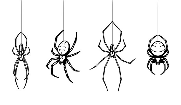 Four Unique Spiders Hanging on Silk Strings Black White Vector Icon Set