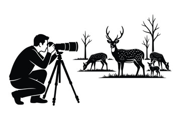 Fototapeta premium Wildlife photographer taking pictures of deer herd in forest landscape