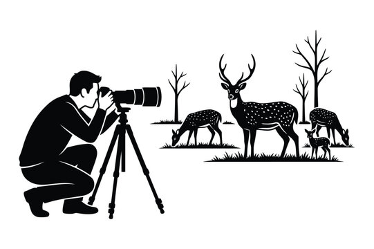 Wildlife photographer taking pictures of deer herd in forest landscape