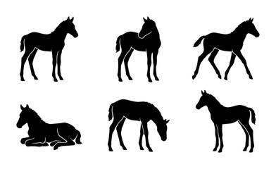 Fototapeta premium Horse Silhouettes Collection: Foal, Standing, Grazing, Lying Down Vector Icons