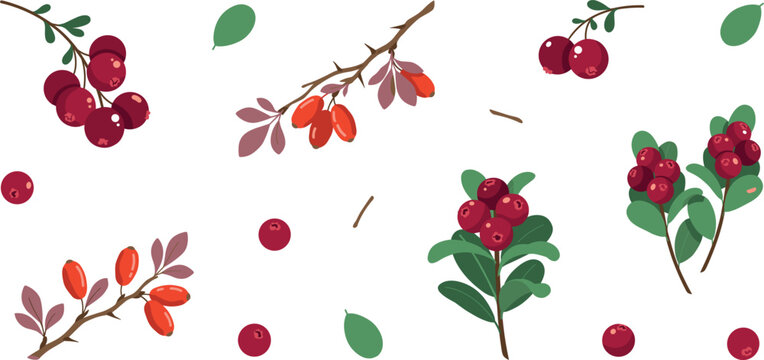 Red forest berry vector element set featuring cranberries cowberries and barberries with green leaves and branches for autumn botanical designs