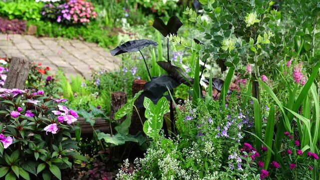 Colorful Landscaped Flower Garden with Black Elephant Ear Leaves