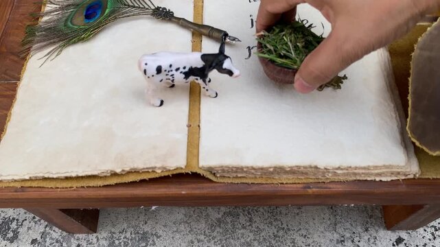 Visual Storytelling Footage for Cattle Growth Products: A Vintage Journal Journey Through Rumen Health, Digestion and Better Performance | 4K