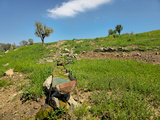 Charming rustic trough rests among stones on a lush green hillside, graceful trees dotting the slope beneath a bright spring sky with drifting clouds. 📍Daga Shekhan, Marivan, Kurdistan  © Hawraman83