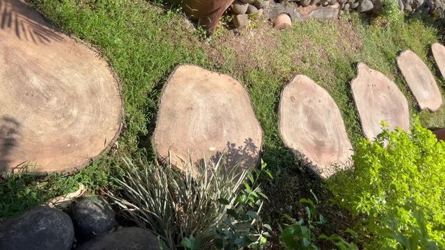 Round Stone Stepping Stones Pathway on Green Grass⁠