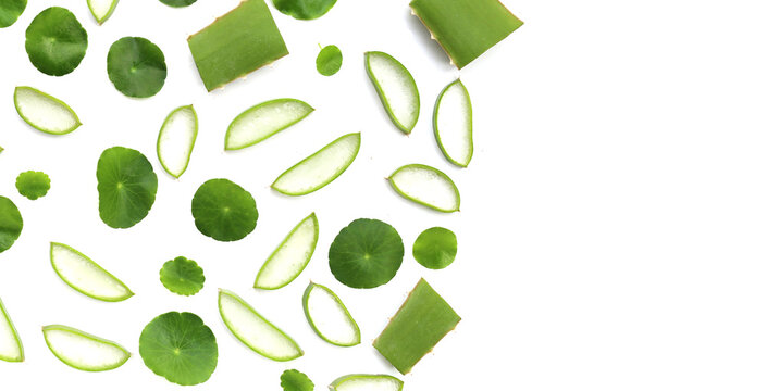 Fresh aloe vera slices and gotu kola leaves on a white background.