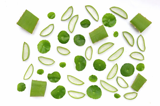 Fresh aloe vera slices and gotu kola leaves on a white background.