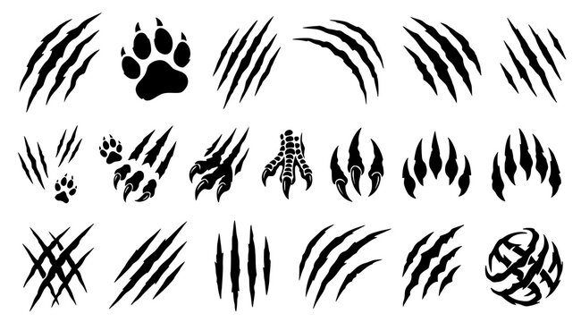 Wild animal claw scratch collection with tiger lion leopard bear wolf predator and realistic vector marks