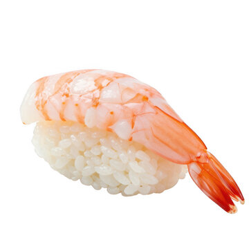 Close-up view of a salmon sushi roll sliced into bite-sized pieces on a white
