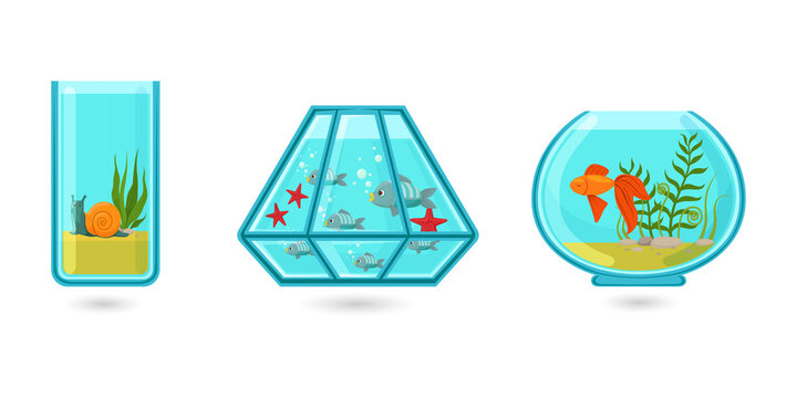 Colorful aquarium fish tanks for home decor inspiration on transparent background