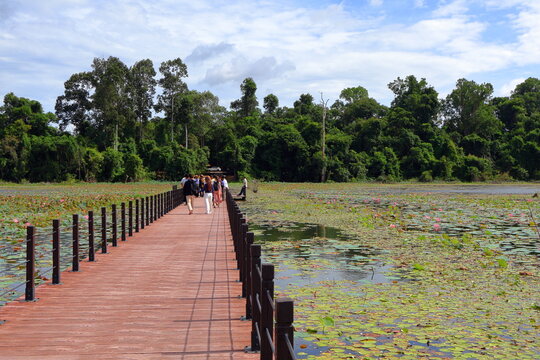 Wooden Boardwalk Leading to Neak Pean Temple over Lotus Lake in Siem Reap, Cambodia