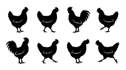 Obraz premium Chicken set with rooster silhouettes featuring hen, fowl, poultry, standing and walking with black and white design and isolated background