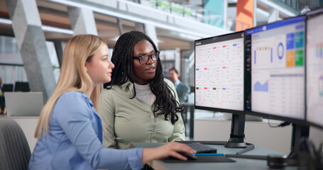 Young Woman Uses Computer Software