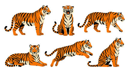 Fototapeta premium Tiger Set Vector Illustration in Flat Cartoon Style