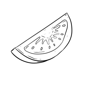 tomato slice digital drawing illustration isolated