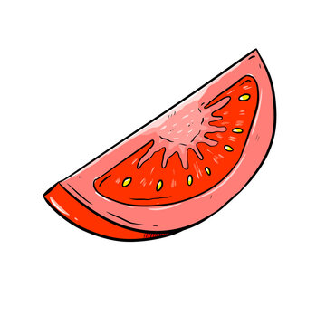 tomato slice digital drawing illustration isolated