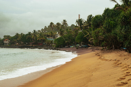 Scenic view of a tropical sandy shoreline bordered by dense palm trees on an overcast day