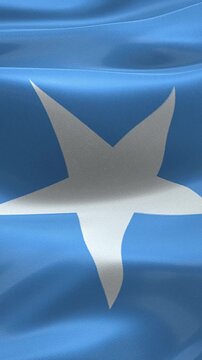 Vertical Somalia Flag Animation with Realistic Fabric Texture, Wind Motion and Subtle Grunge Background