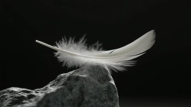 石の端で均衡を保つ羽根