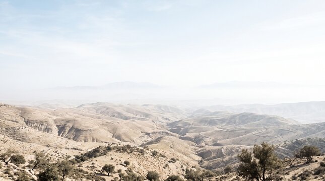 Hazy desert mountains and arid landscape with sparse trees and pale sk