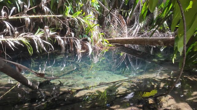 Beautiful track dolly forwards towards the hot stream and clear water. Beautiful reflections. Location: Namtok Ron, Khong Thom Hot Stream nearWaterfall located near Krabi (Namtok Ron) Thailand