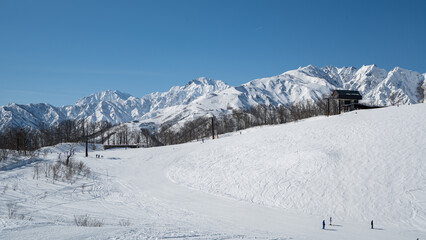 スキー場ゲレンデ風景と北アルプス　長野県白馬村 © RATM