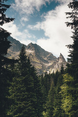 Majestic rocky mountain peaks framed by dark silhouettes of coniferous pine trees in the Tatra Mountains, Poland. © Тетяна Панасюк