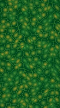 Green Cellular Organic Texture with Slow Undulating Liquid Ripple Motion Seamless Loop