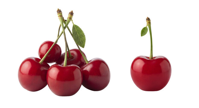 Fresh ripe red cherries group and single cherry isolated on transparent background