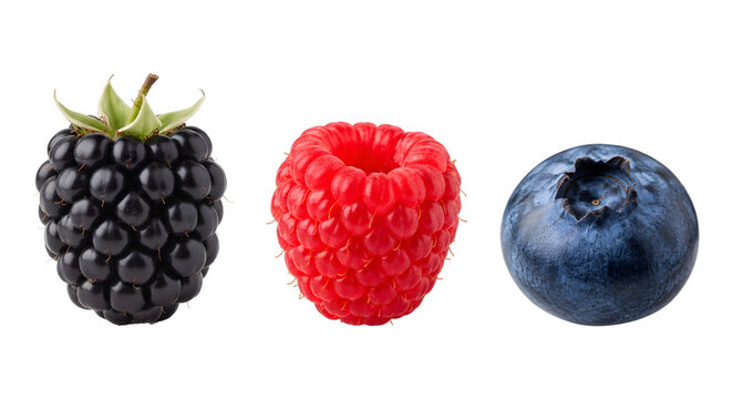Fresh blackberry raspberry and blueberry isolated on transparent background