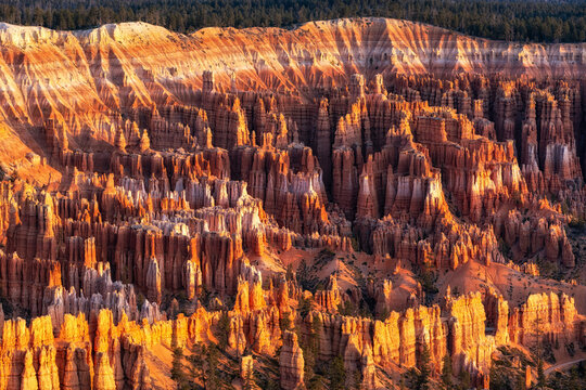 Bryce Canyon Sunrise View