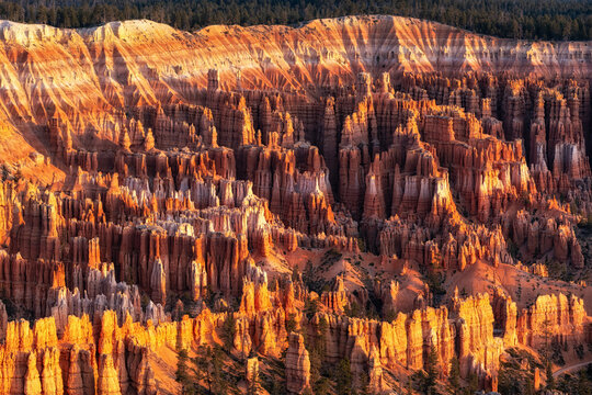 Bryce Canyon Sunrise View