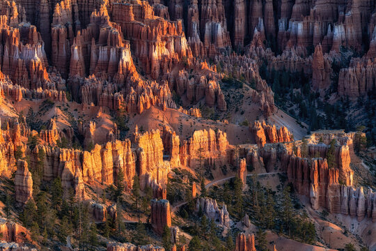 Bryce Canyon Sunrise View